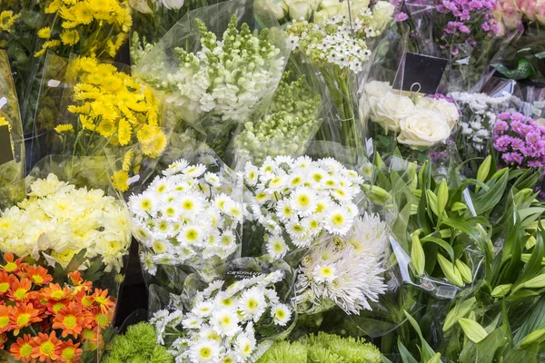 Flores coloridas em exposição — Fotografia de Stock