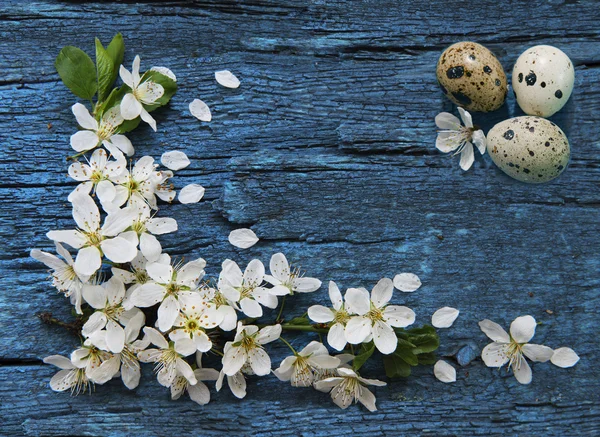 Spring border background — Stock Photo, Image