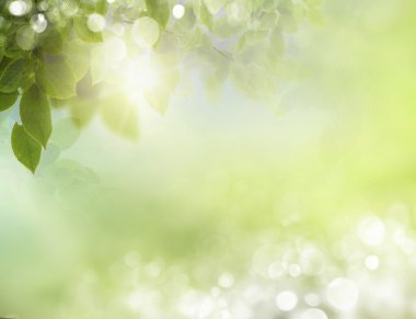 soyut bahar geçmiş bokeh etkileri ile. 