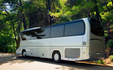 Ormanın içinde yolda gezi otobüs