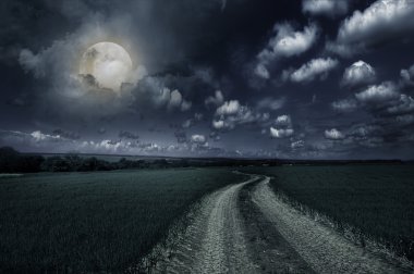 Countryroad gece parlak ışıklı büyük ay