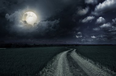 Countryroad gece parlak ışıklı büyük ay