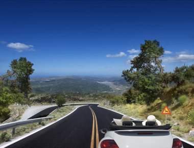 Asfaltlı yol. Araba