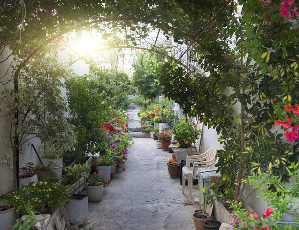 Greek courtyard — Stock Photo, Image