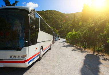 Turist otobüsleri 
