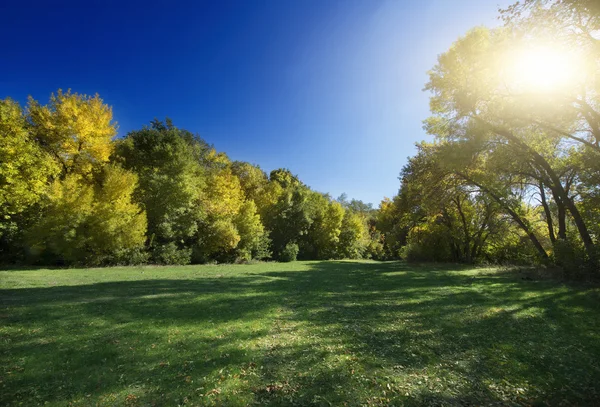 Paisagem de outono. — Fotografia de Stock