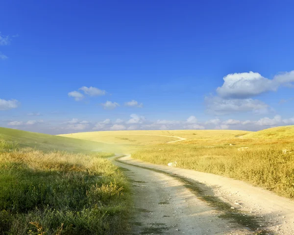 Dusty steppe road — Stock Photo, Image