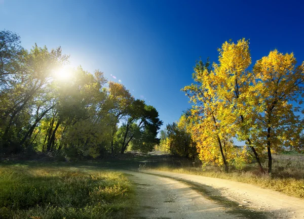 Sonbahar manzarası. yol — Stok fotoğraf