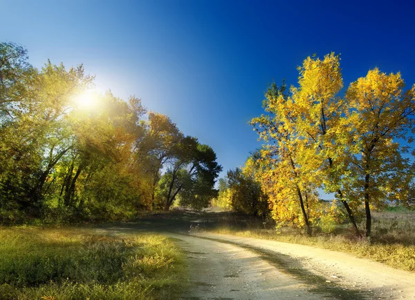 Herbstlandschaft. Straße — Stockfoto