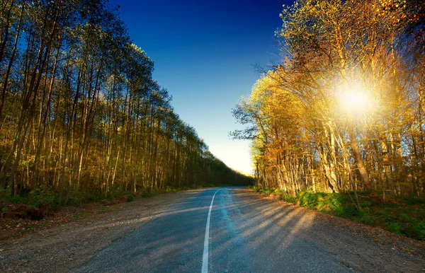 Asphalt road — Stock Photo, Image