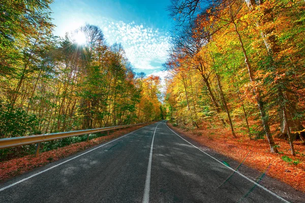 Camino de montaña —  Fotos de Stock