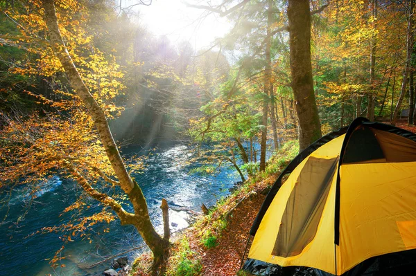 Осенний лес. желтая палатка, путешествие в осенний лес — стоковое фото