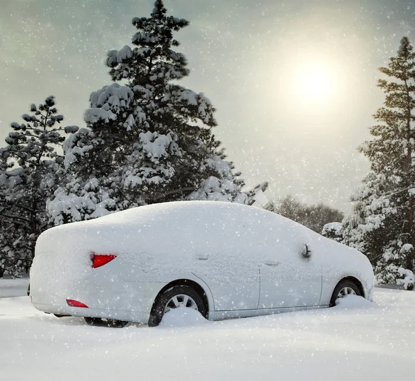 Carro na floresta Snowbound — Fotografia de Stock