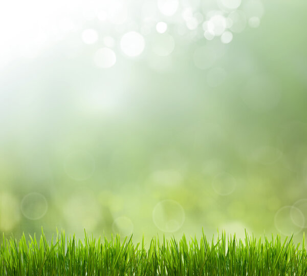 Природа Боке
 .