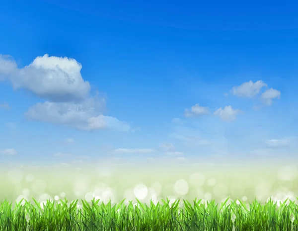 Veld. Gras en de hemel. achtergrond — Stockfoto