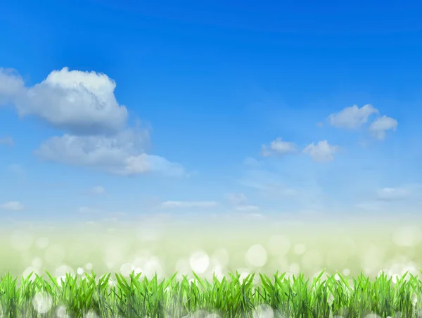 Feld.Gras und Himmel. Hintergrund — Stockfoto