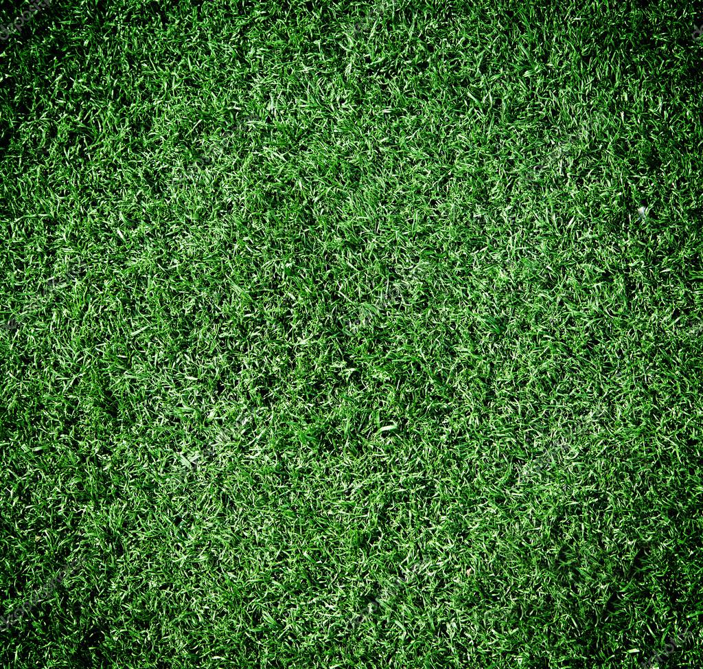Green Grass Texture For Background Stock Photo By ©krivosheevv 61580349