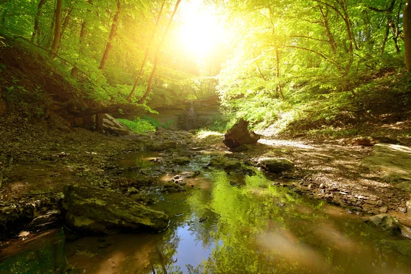 Park se zelenou trávou a stromy. — Stock fotografie