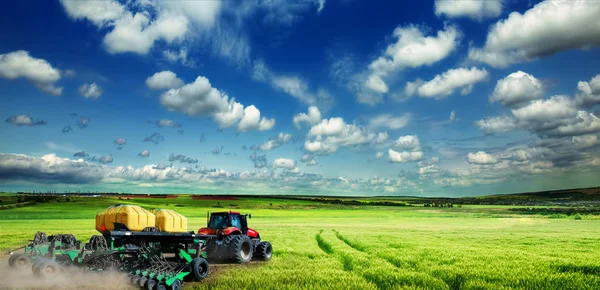 Groen veld en blauwe lucht — Stockfoto