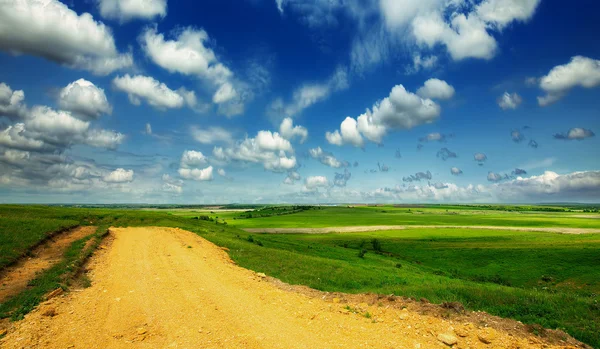 Grasveld en blauwe lucht — Stockfoto