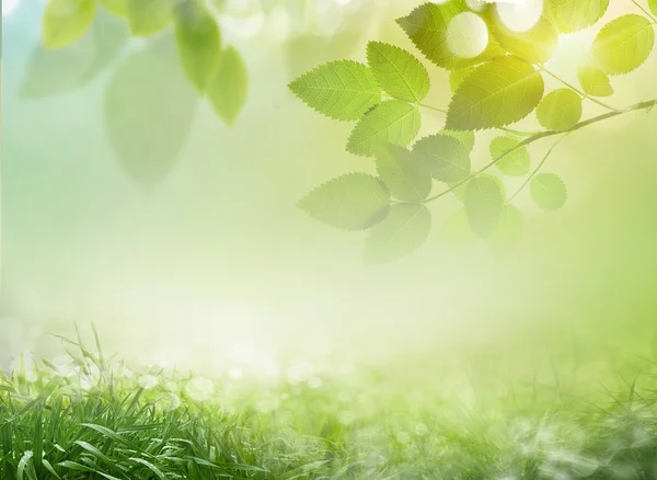 Abstrakte Frühling Hintergrund 23 — Stockfoto