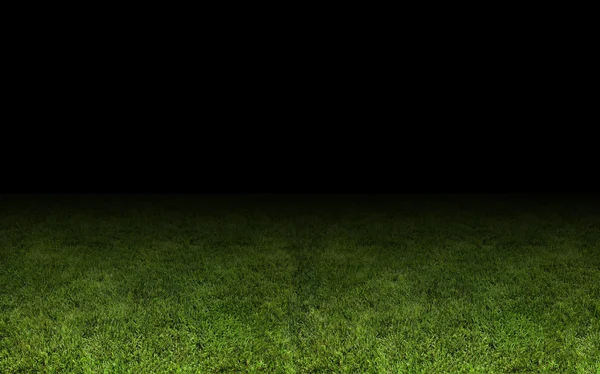 Трава на стадіоні . — стокове фото