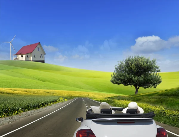 Field,tree and blue sky — Stock Photo, Image