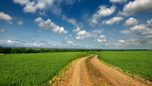 Ülkede yol aracılığıyla — Stok fotoğraf