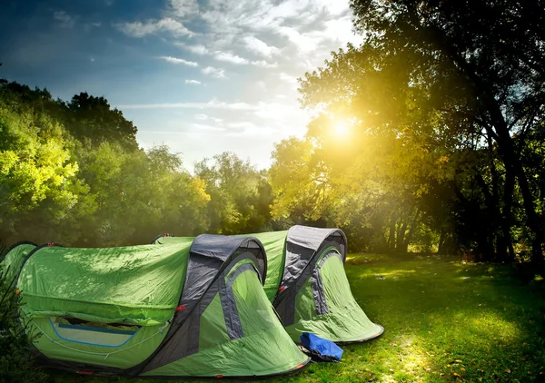 Zwei Zelte im Wald — Stockfoto