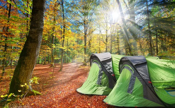 Deux tentes dans la forêt d'automne — Photo