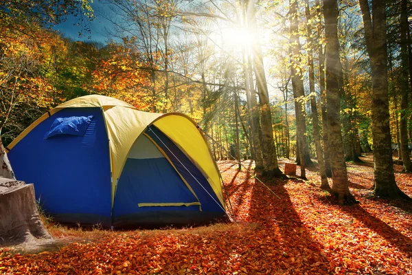 Dwa namioty w lesie jesienią — Zdjęcie stockowe