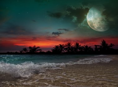 Moon, okyanus ve palmiye ağaçları