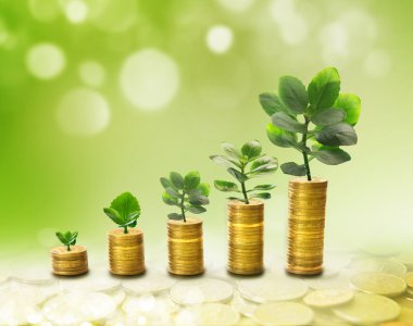 Gelir büyüme sürecini