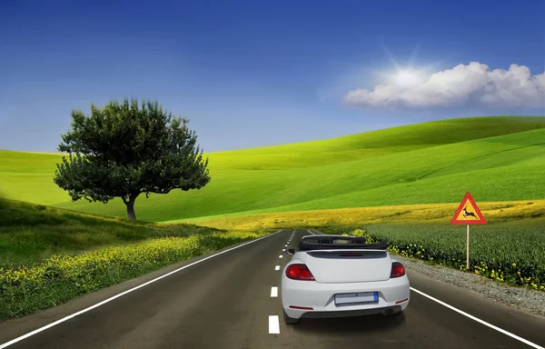 White car, convertible — Stock Photo, Image