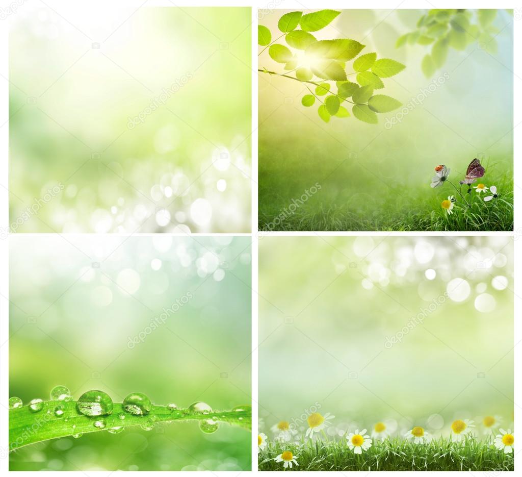 Beautiful Nature Bokeh