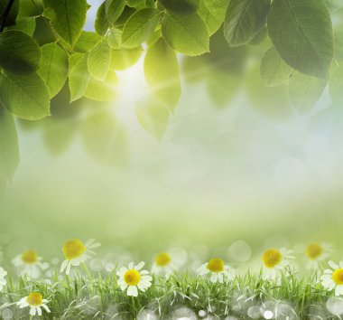 taze bahar bokeh arka plan