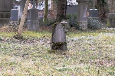 Mezar taşı mezarlık Park açık havada