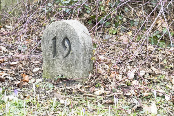 Pietre tombali in un parco di cimitero all'aperto — Foto Stock