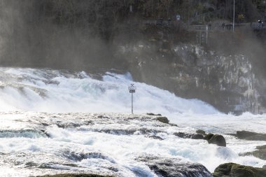 Rhine Falls Schaffhausen, İsviçre.