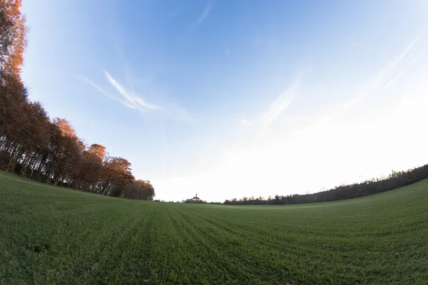 Gebied van gras op zonsondergang — Stockfoto