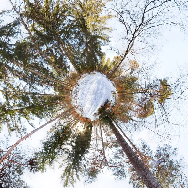 Kleine Planeet Het Bos Met Blauwe Lucht — Stockfoto