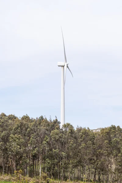 Windmolen — Stockfoto