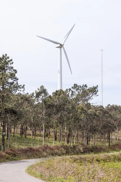 Windmolen — Stockfoto