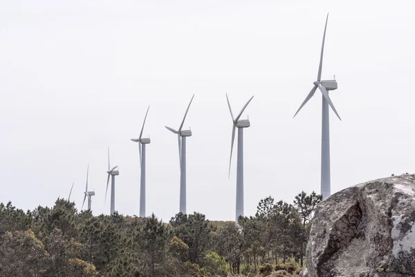 Windmolen — Stockfoto