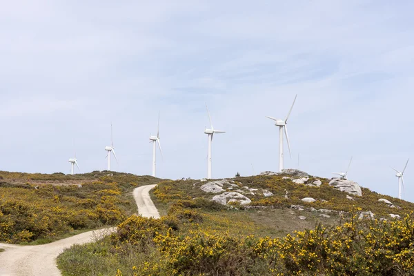 Windmolen — Stockfoto