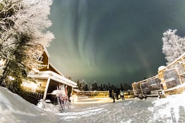 Aurora borealis boven bomen — Stockfoto