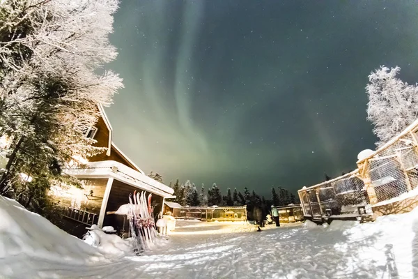 Aurora borealis boven bomen — Stockfoto