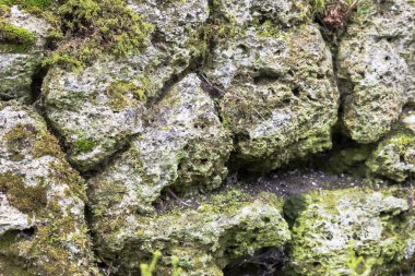 Rasgele taş taş duvar