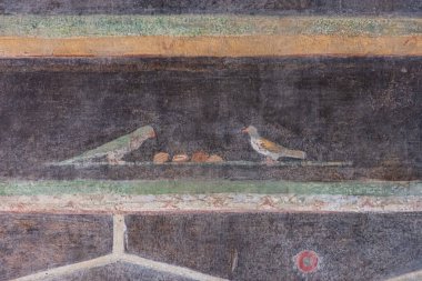 İtalya 'nın Pompeii kentindeki Villa of the Mysteries' den kuşları tasvir eden antik Roma duvar freskinin ayrıntıları. MÖ 1. yüzyıldan kalma dekoratif döngünün bir parçası..