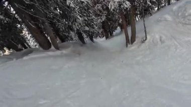 Bir kayakçının karla kaplı ağaçların arasındaki derin toz kardan inişini gösteren bir bakış açısı. Kış sporları, serbest kayak ve Alp ormanlarında açık hava maceraları..